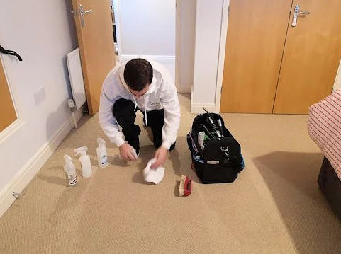 carpet cleaning spot treatment Marlborough