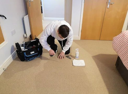 carpet inspection Malmesbury